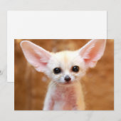 Kutest Baby Animals | Fennec Fox Bedankkaart (Voorkant / Achterkant)