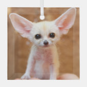 Kutest Baby Animals | Fennec Fox Glas Ornament (Voorkant)