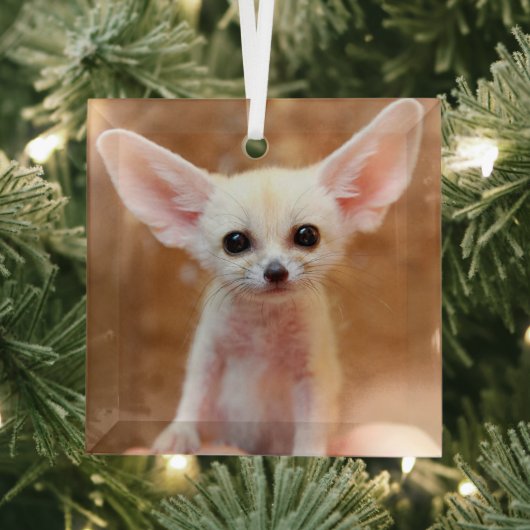 Kutest Baby Animals | Fennec Fox Glas Ornament (Insitu)