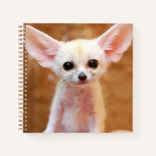 Kutest Baby Animals Fennec Fox Notitieboek
