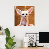 Kutest Baby Animals | Fennec Fox Poster (Thuiskantoor)