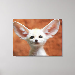 Kutest Baby Animals Fennec Fox Pup Canvas Afdruk