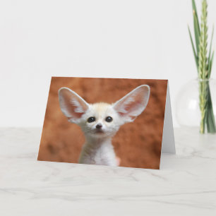Kutest Baby Animals Fennec Fox Pup Kaart