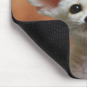 Kutest Baby Animals | Fennec Fox Pup Muismat (Hoek)