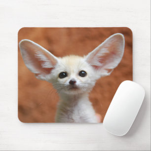 Kutest Baby Animals   Fennec Fox Pup Muismat