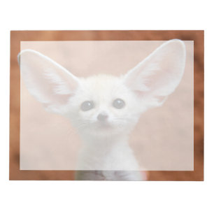 Kutest Baby Animals Fennec Fox Pup Notitieblok