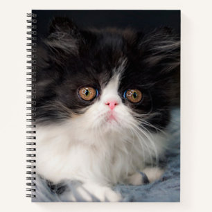 Kutest Baby Animals Fluffy B&W Kitten Notitieboek