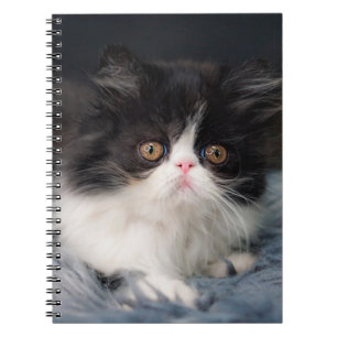 Kutest Baby Animals Fluffy B&W Kitten Notitieboek