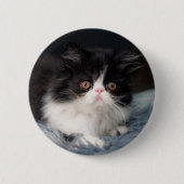 Kutest Baby Animals | Fluffy B&W Kitten Ronde Button 5,7 Cm (Voorkant)
