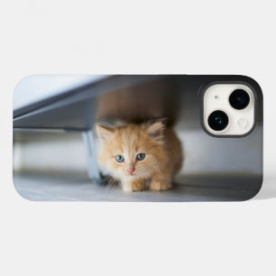 Kutest Baby Animals Fluffy Oranje Kitten Case-Mate iPhone 14 Hoesje