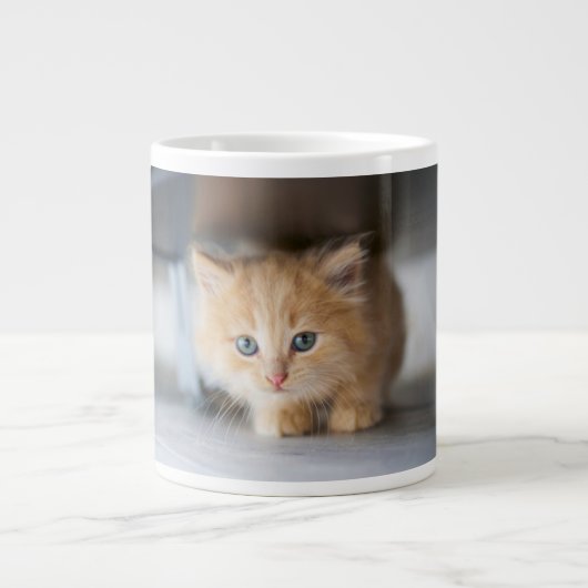 Kutest Baby Animals | Fluffy Oranje Kitten Extra Grote Beker (Voorkant)