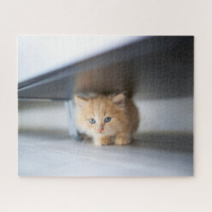 Kutest Baby Animals Fluffy Oranje Kitten Legpuzzel