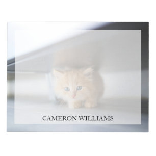 Kutest Baby Animals   Fluffy Oranje Kitten Notitieblok