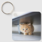 Kutest Baby Animals | Fluffy Oranje Kitten Sleutelhanger (Voorkant)