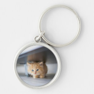 Kutest Baby Animals Fluffy Oranje Kitten Sleutelhanger