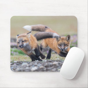 Kutest Baby Animals Fox-jongen bij afspelen Muismat