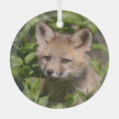 Kutest Baby Animals | Fox Kit Glas Ornament (Voorkant)