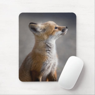 Kutest Baby Animals Fox Portret Baby Muismat