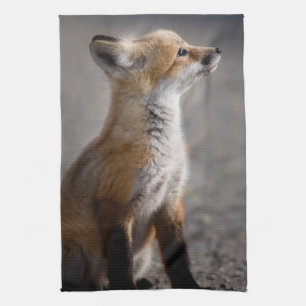 Kutest Baby Animals   Fox Portret Baby Theedoek