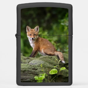 Kutest Baby Animals Foxy Smile