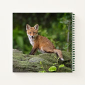 Kutest Baby Animals | Foxy Smile Notitieboek (Achterkant)