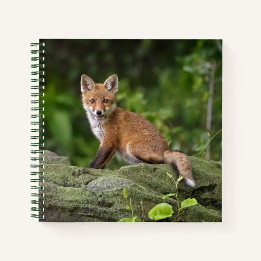 Kutest Baby Animals | Foxy Smile Notitieboek (Voorkant)