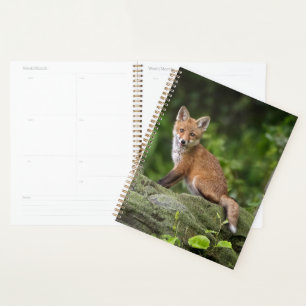 Kutest Baby Animals Foxy Smile Planner