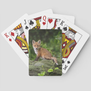 Kutest Baby Animals Foxy Smile Pokerkaarten