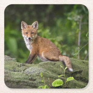 Kutest Baby Animals   Foxy Smile Vierkante Kartonnen Onderzetter