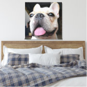 Kutest Baby Animals | Frans Bulldog Face Canvas Afdruk (Insitu (Slaapkamer))