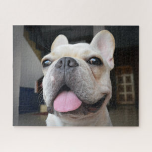 Kutest Baby Animals   Frans Bulldog Face Legpuzzel