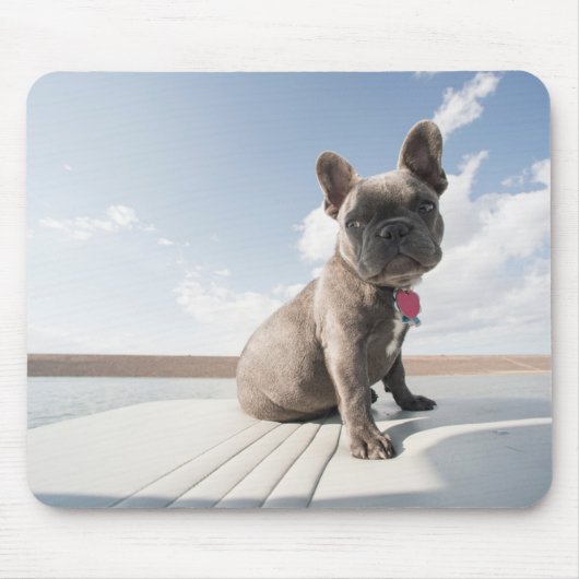 Kutest Baby Animals | Franse Bulldog Boating Muismat (Voorkant)