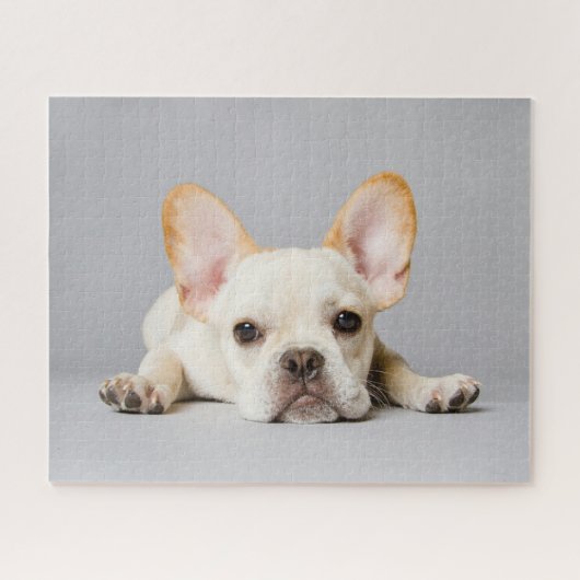 Kutest Baby Animals | Franse Bulldog Down Legpuzzel (Horizontaal)
