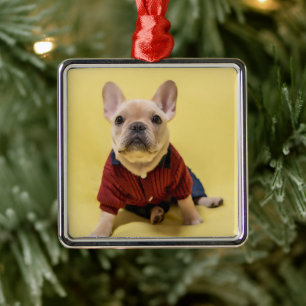 Kutest Baby Animals Franse Bulldog Dpress Metalen Ornament