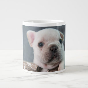 Kutest Baby Animals   Franse Bulldog Extra Grote Beker