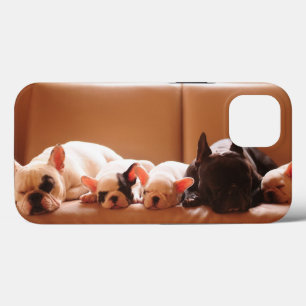 Kutest Baby Animals Franse Bulldog Familie iPhone 13 Hoesje