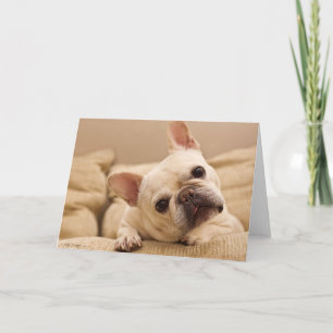 Kutest Baby Animals Franse Bulldog Head Tilt Kaart