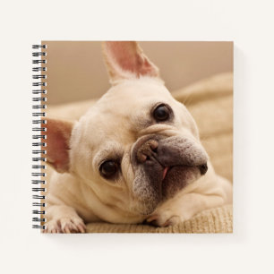 Kutest Baby Animals   Franse Bulldog Head Tilt Notitieboek