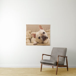 Kutest Baby Animals   Franse Bulldog Head Tilt Wandkleed