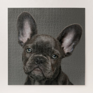 Kutest Baby Animals   Franse Bulldog Legpuzzel