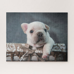 Kutest Baby Animals Franse Bulldog Legpuzzel