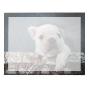 Kutest Baby Animals   Franse Bulldog Notitieblok