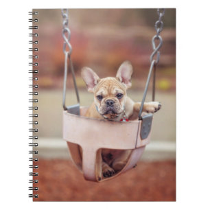Kutest Baby Animals   Franse Bulldog Playground Notitieboek