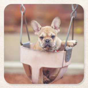 Kutest Baby Animals Franse Bulldog Playground Vierkante Kartonnen Onderzetter