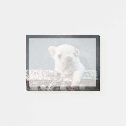 Kutest Baby Animals | Franse Bulldog Post-it® Notes (Voorkant)
