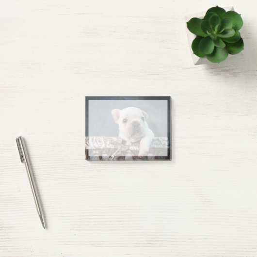 Kutest Baby Animals | Franse Bulldog Post-it® Notes (Kantoor)