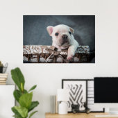 Kutest Baby Animals | Franse Bulldog Poster (Thuiskantoor)