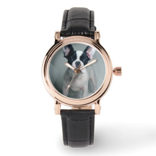 Kutest Baby Animals Franse Bulldog Puppy Horloge
