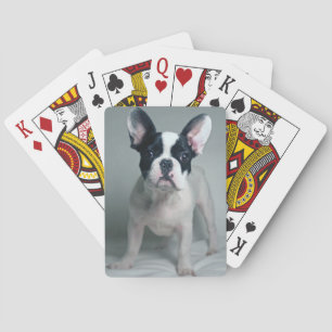 Kutest Baby Animals   Franse Bulldog Puppy Pokerkaarten