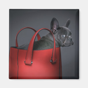 Kutest Baby Animals Franse Bulldog Red Hand Bag Magneet